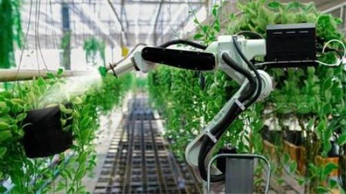 همكاری بین المللی در زمینه توسعه فناوری حوزه باغبانی شكل گرفت