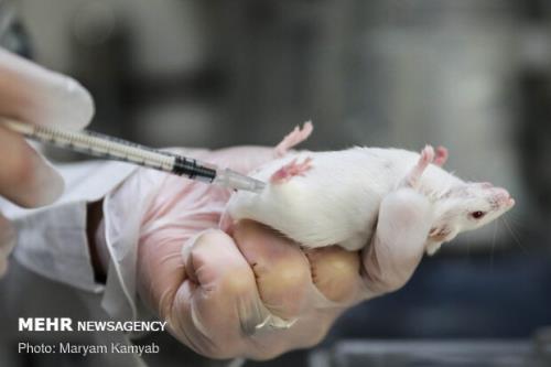 سمپوزیوم کاربرد تصویربرداری در تحقیقات پیش بالینی