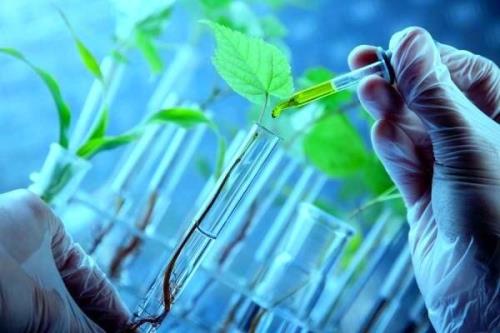 هم اندیشی صاحبنظران علوم زیستی و علوم انسانی در زمینه بیوتکنولوژی
