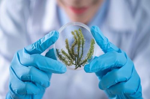 ایده های برترین های مسابقه ملی نانو به محصول تبدیل می شود