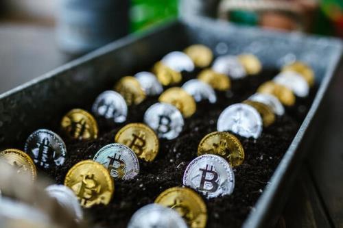 هشدار صندوق بین المللی پول به السالوادور: بیتکوین را کنار بگذارید