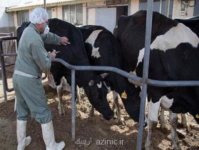 دعوت از فناوران برای تولید واکسن های کاربردی صنعت دام، طیور و آبزیان