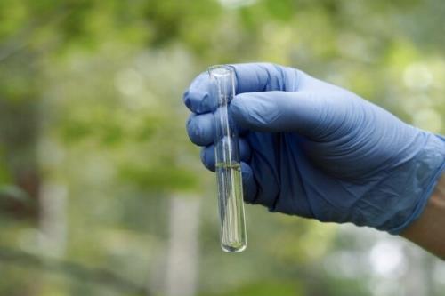 ابداع پژوهشگران ایرانی برای تولید بسته بندی های حافظ محیط زیست