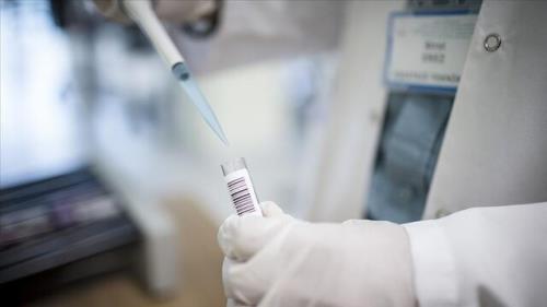 لانگیا زیر ذره بین متخصصان