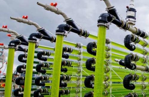 ۱۰ پروژه برای ایجاد پالایشگاه زیستی پسماند و پساب های نیشکر