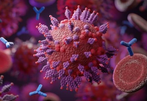 دو سویه عمده در گردش کرونا در جهان