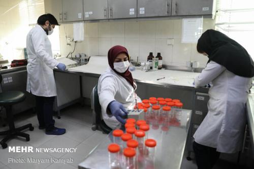 پژوهشگاه رویان در عرضه خدمات سلامت به بیماران خارجی برتر شد