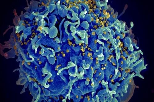 ساخت جنگ افزار جدید برای مقابله با HIV