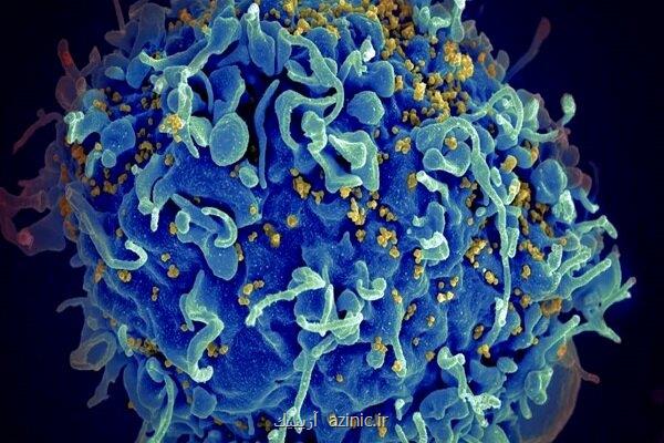 ساخت جنگ افزار جدید برای مقابله با HIV