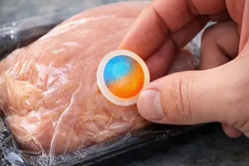 ایروژل های هوشمند برای تشخیص فساد مواد غذایی طراحی شدند