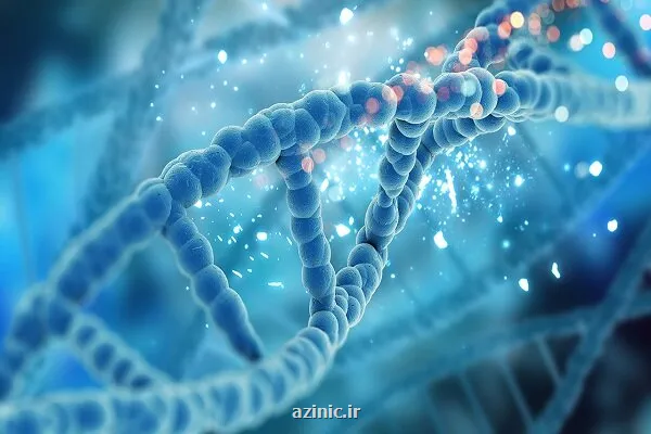 ساخت کامپیوتری مبتنی بر DNA محاسبات بدون احتیاج به برق مداوم