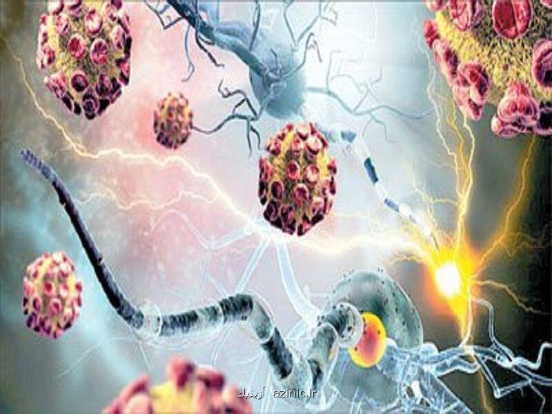 دستیابی به فناوری تولید نانو دارو برای درمان تومور مغزی در مشهد