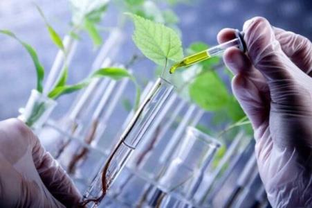 مخالفت انجمن های علمی با پیش نویس سند ملی زیست فناوری